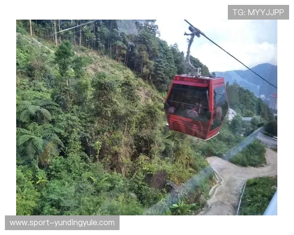 马来西亚云顶赌场规矩对作弊行为的定义与处罚措施详解